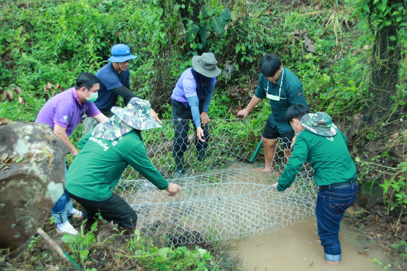 Volunteers carrying stones to construct a check dam