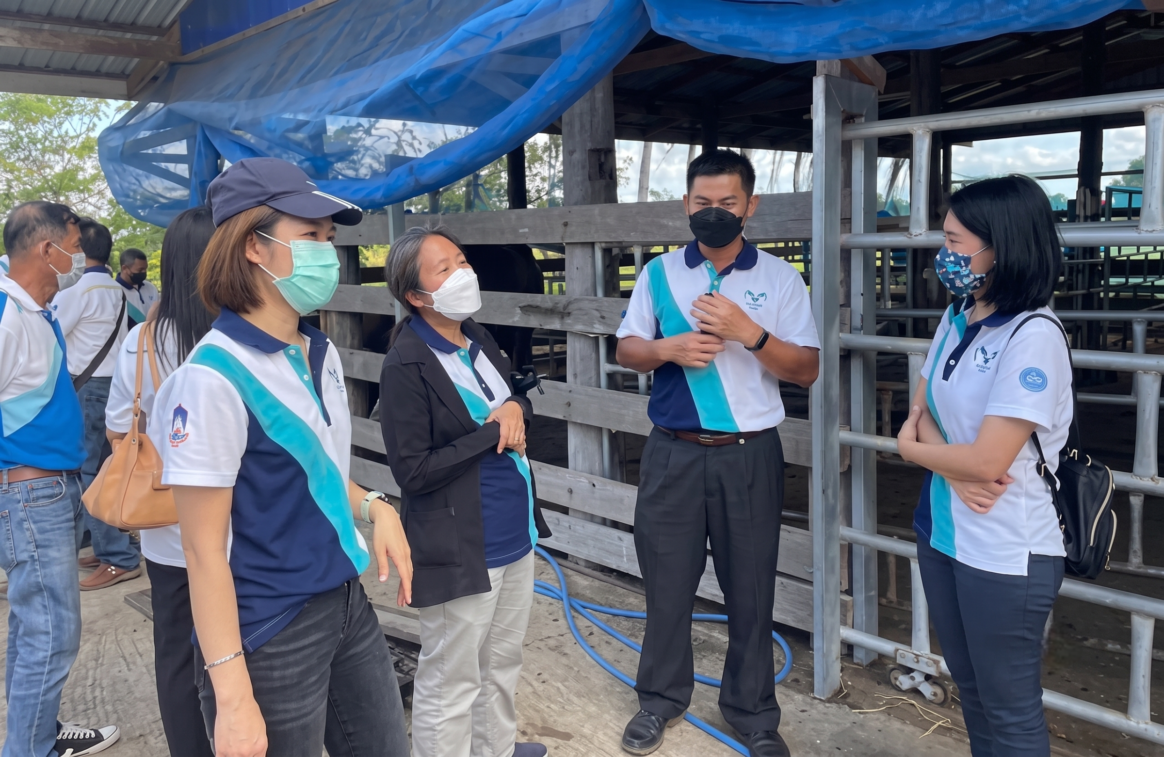 Researchers and community members visiting a buffalo farm as part of the community network project
