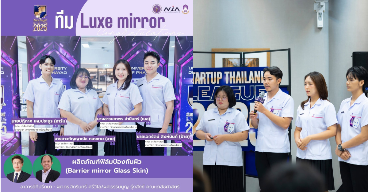 Luxe Mirror skin protection film product