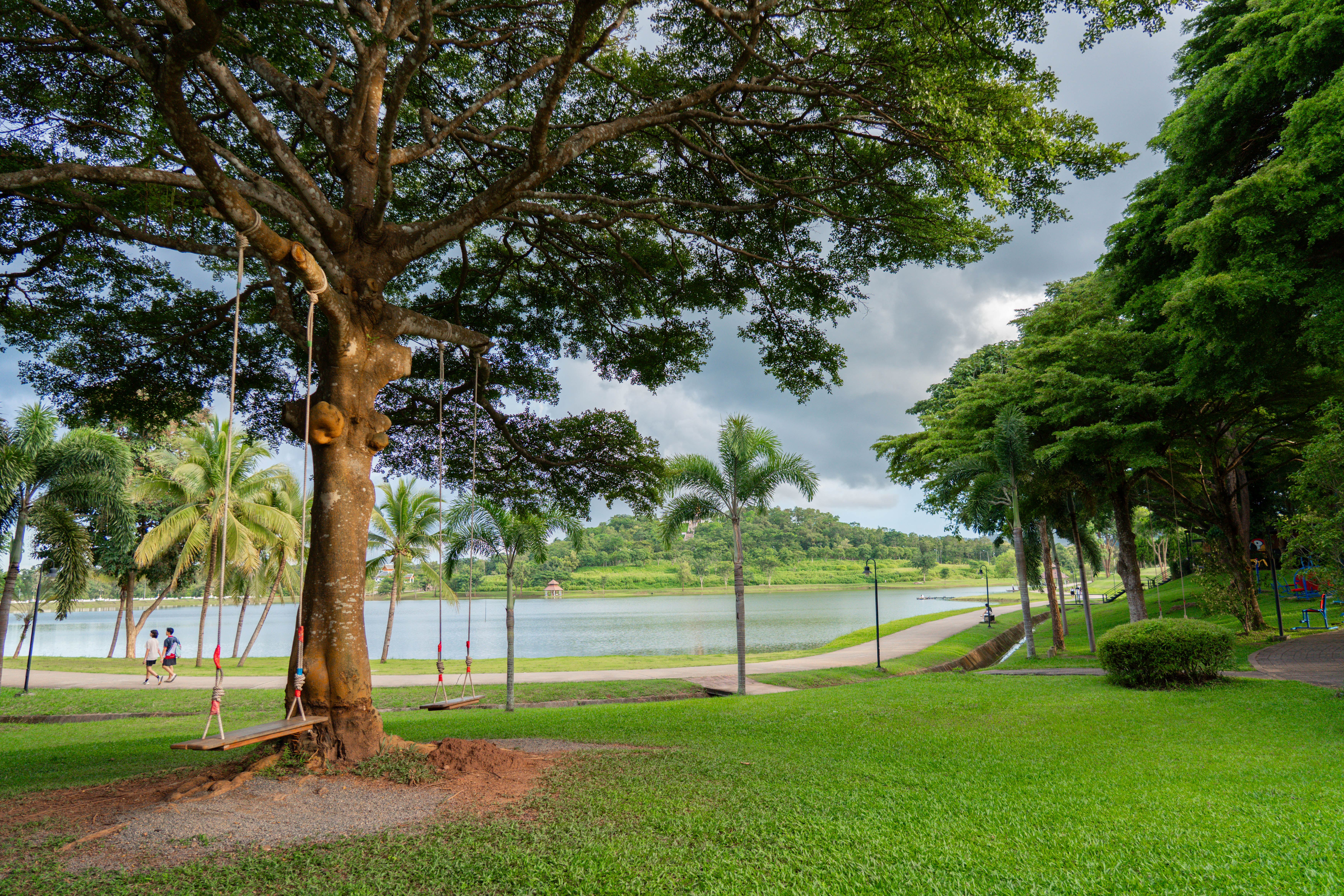 Main campus, Phayao campus (University of Phayao, Thailand)