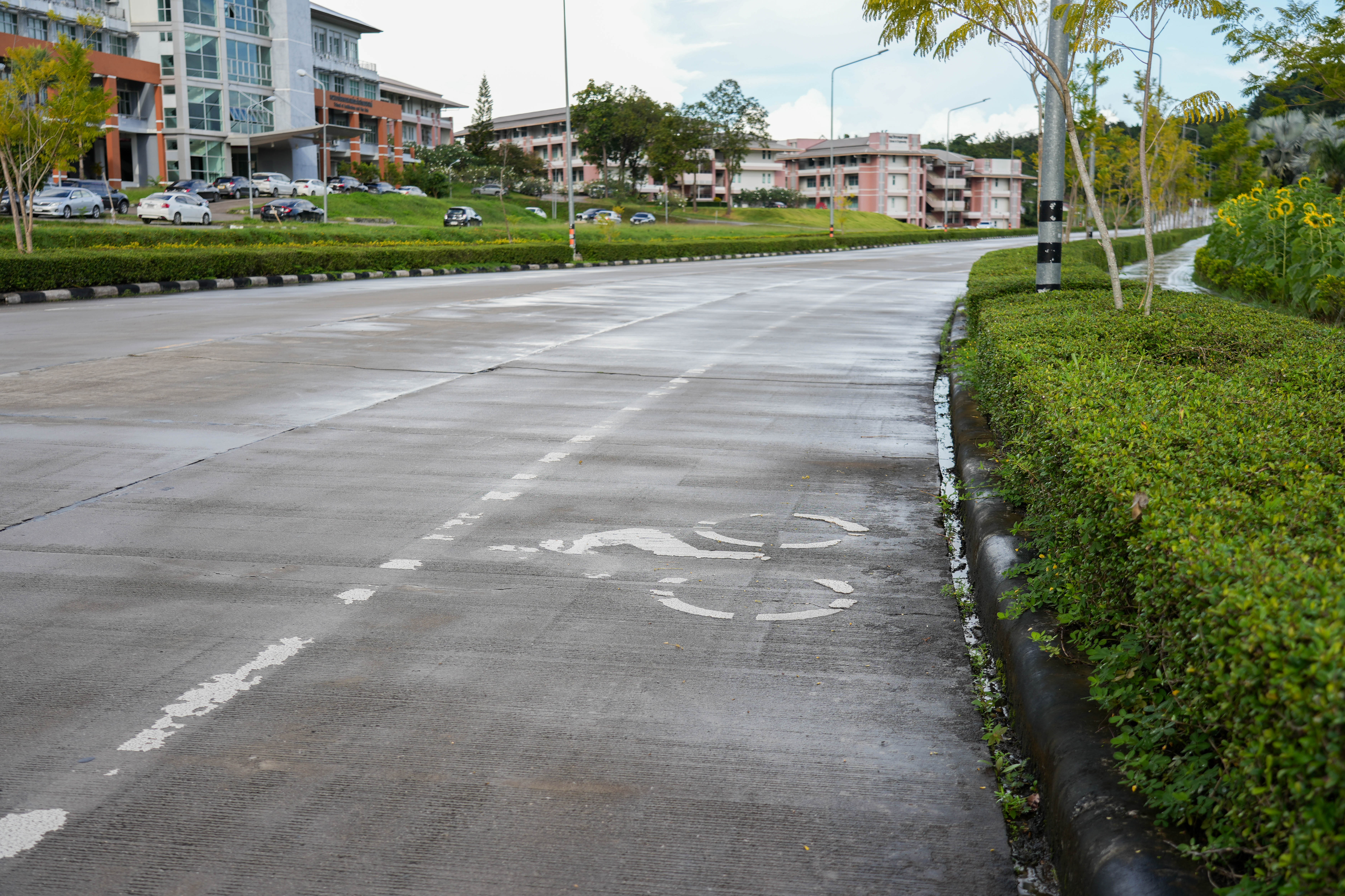 Bicycle lane along the roadside, University of Phayao