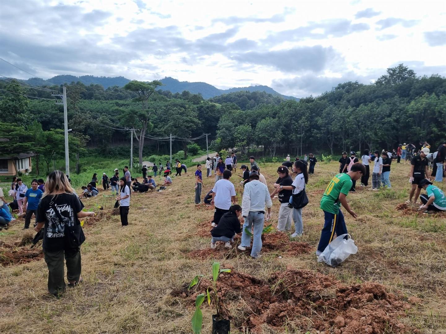 Tree planting volunteer program group photo, University of Phayao
