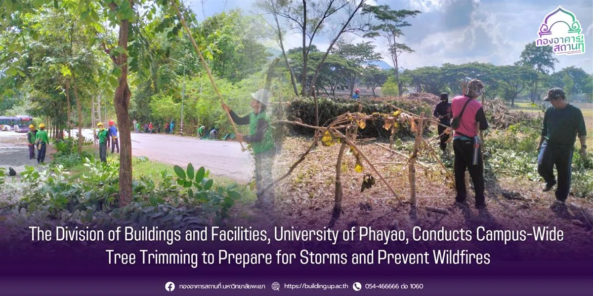 The Division of Buildings and Facilities, University of Phayao, Conducts Campus-Wide Tree Trimming to Prepare for Storms and Prevent Wildfires