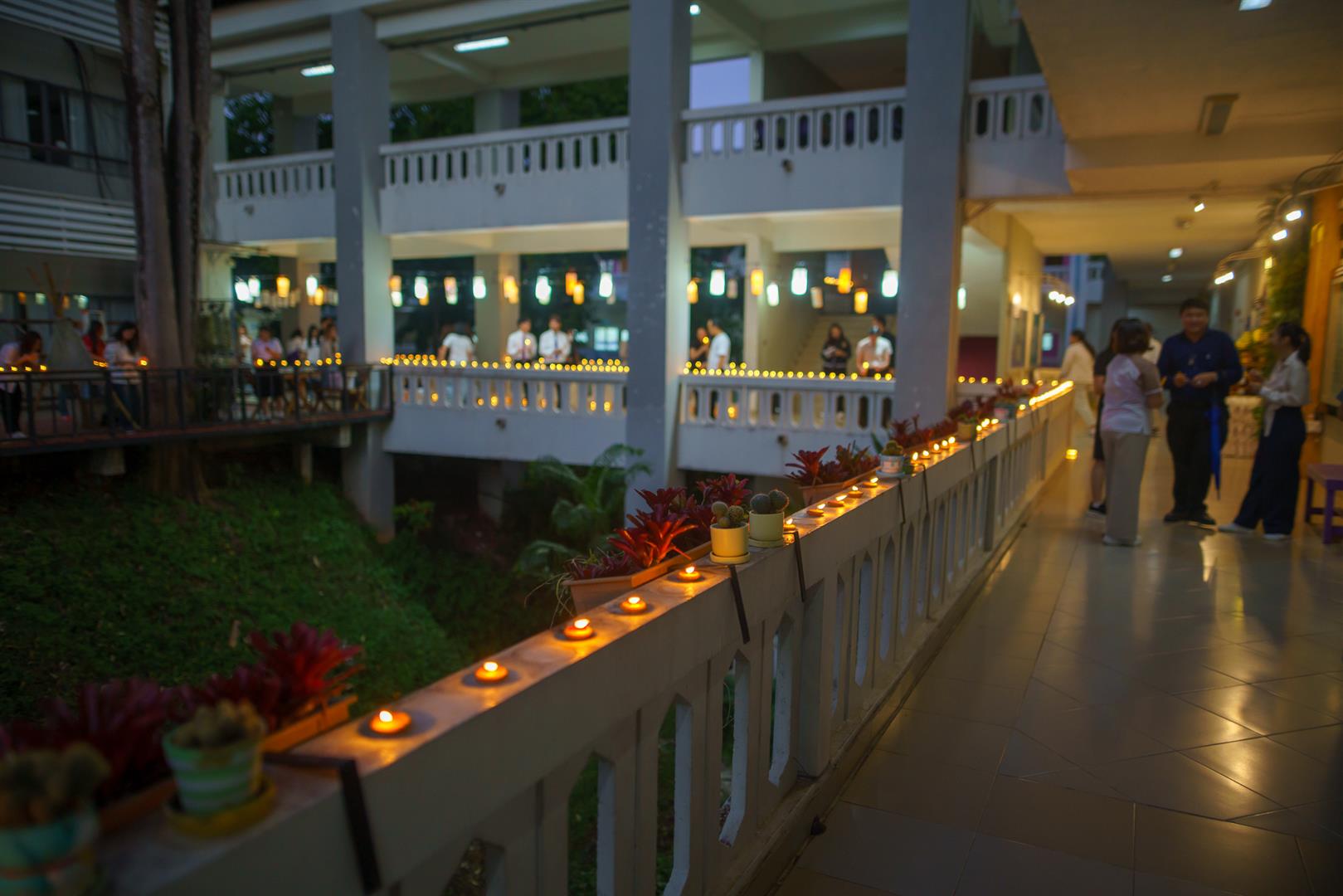 Lantern-lined walkway at the Lanna Yi Peng Tradition celebration